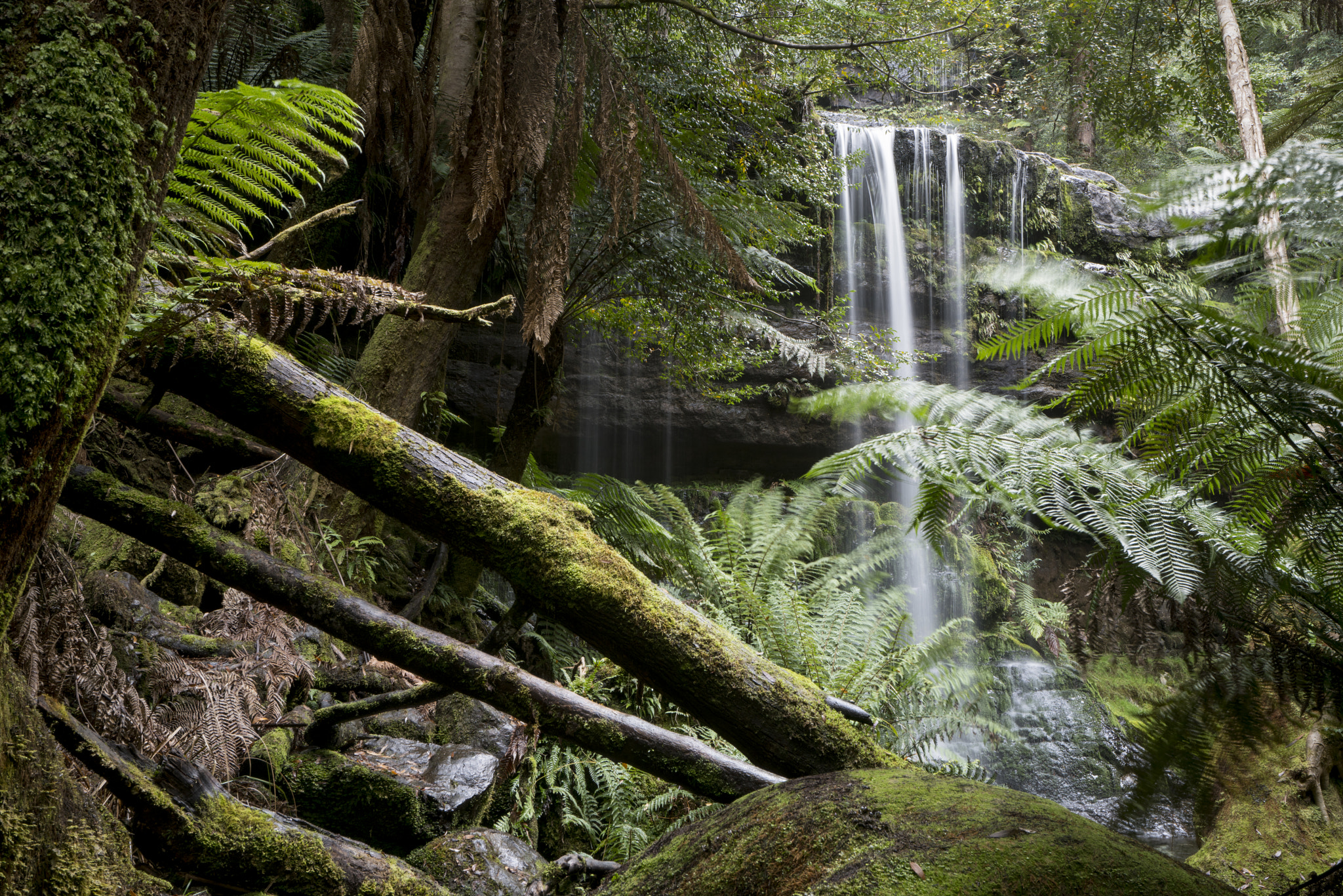 Sony a99 II sample photo. Hidden falls photography