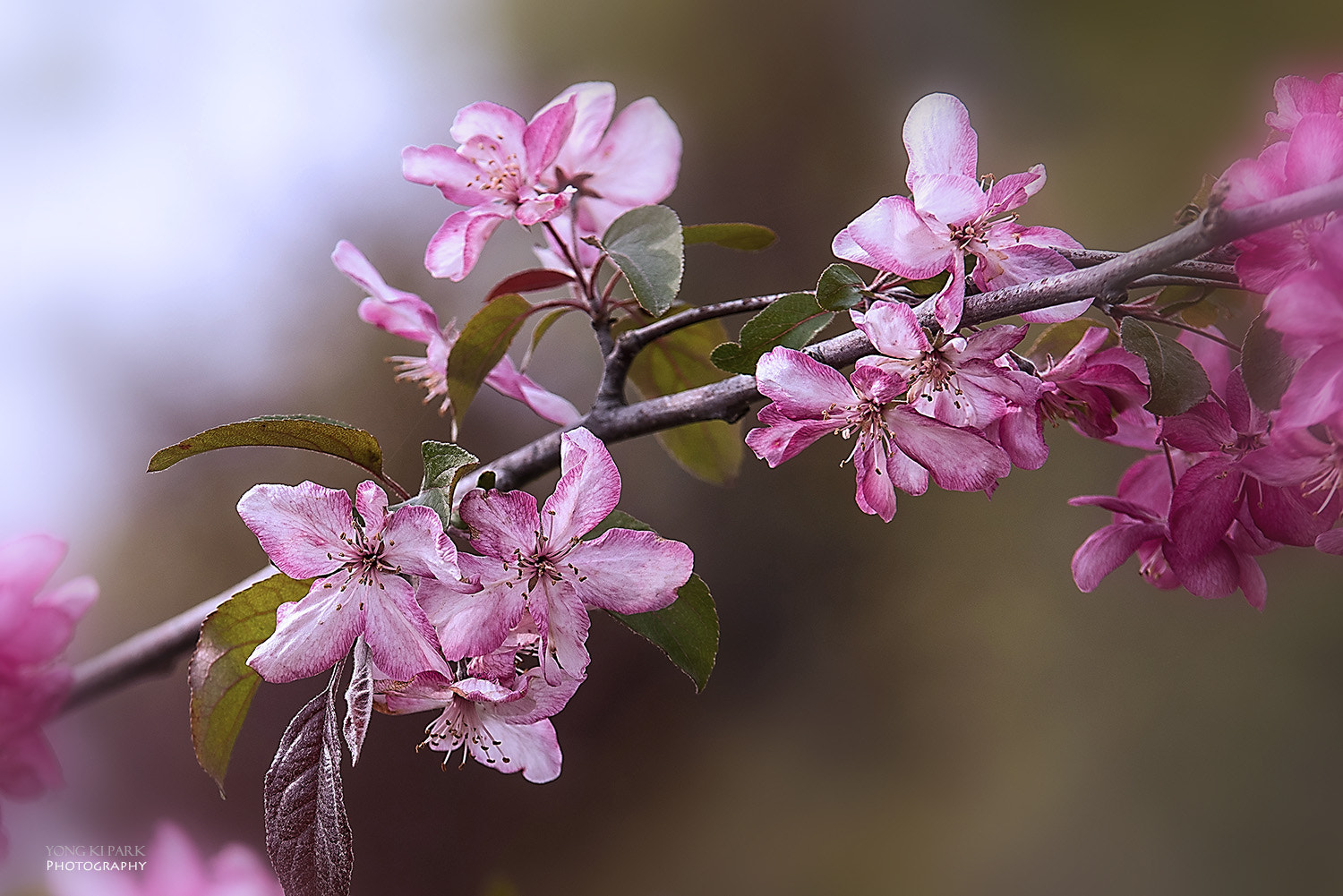 Pentax K-1 + Tamron SP AF 70-200mm F2.8 Di LD (IF) MACRO sample photo. In the middle of the spring-8 photography