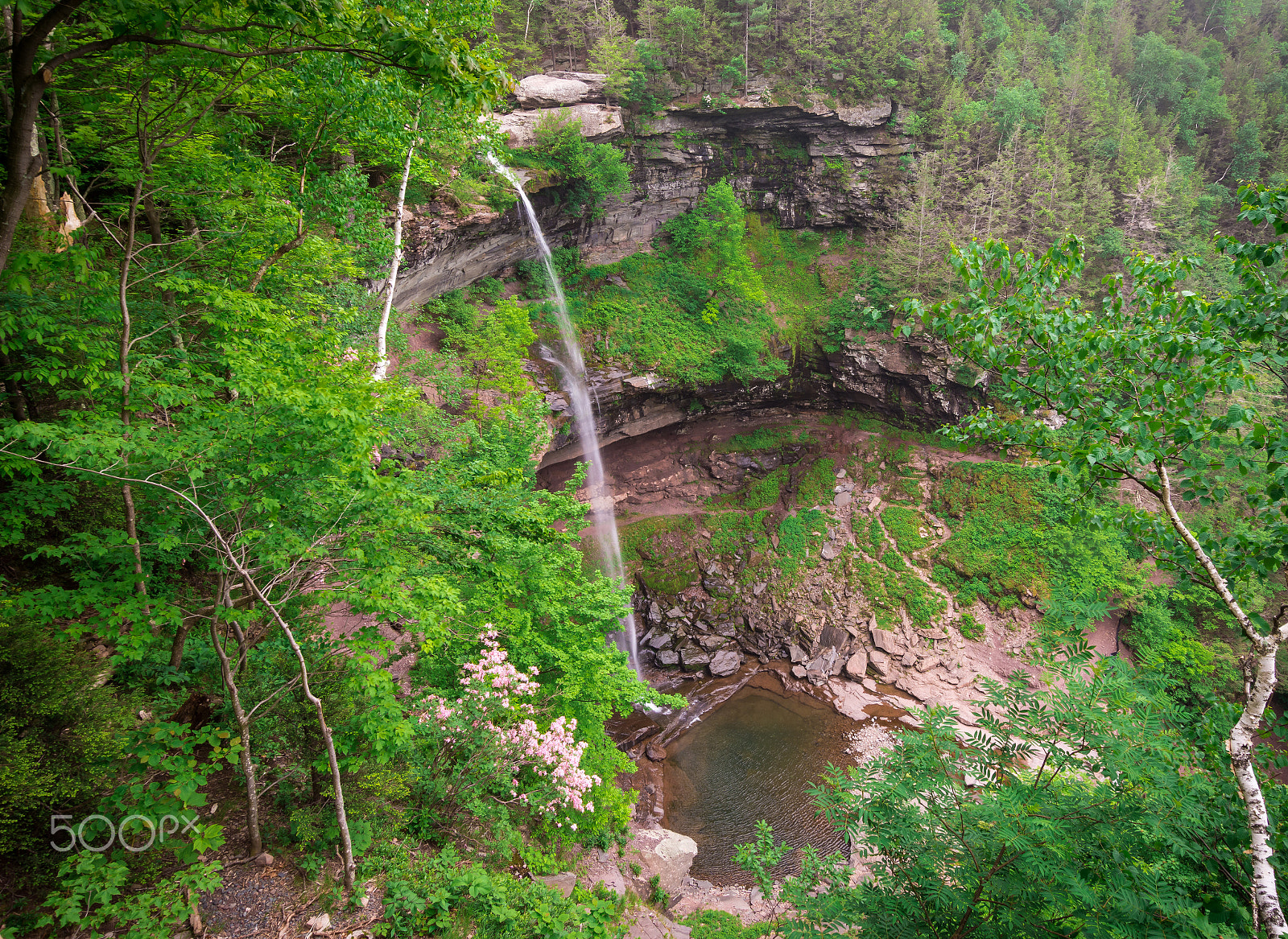 Nikon D7200 sample photo. Top of kaaterskill falls photography