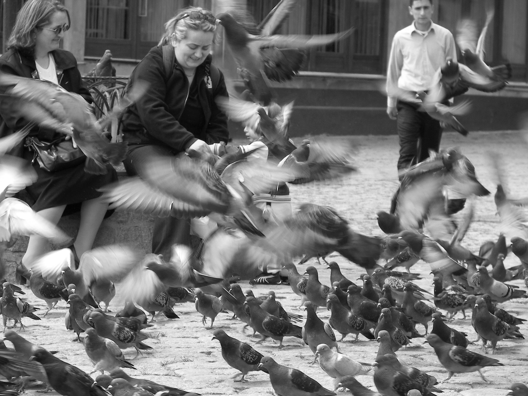 Kodak P850 ZOOM DIGITAL CAMERA sample photo. Feeding the pigeons photography