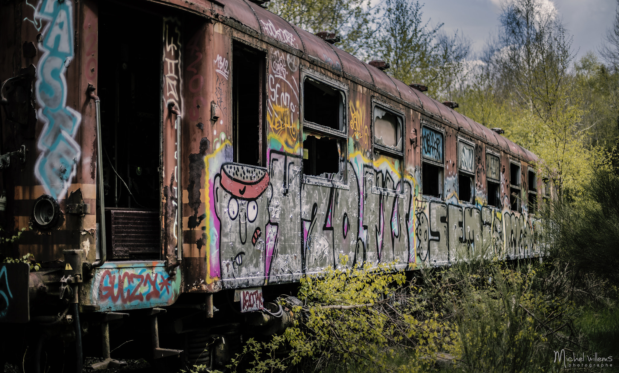Canon EF 50mm F1.4 USM sample photo. Forest train photography