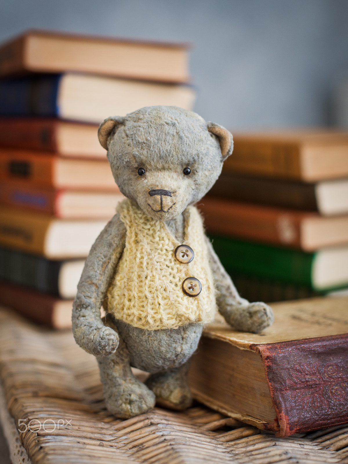 Nikon D800 + Nikon AF Nikkor 50mm F1.4D sample photo. Teddy bear sits on a vintage book photography