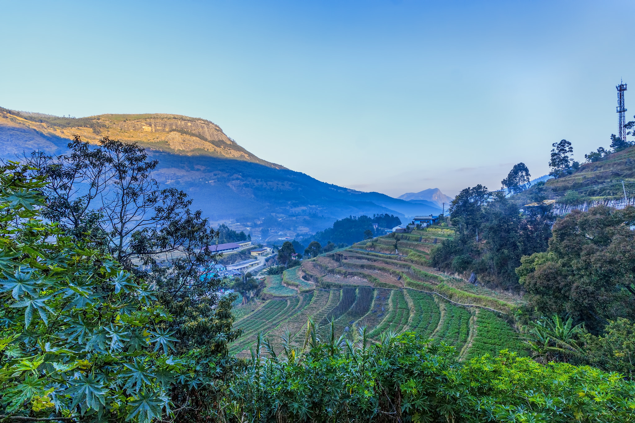Canon EOS 50D sample photo. Misty morning photography