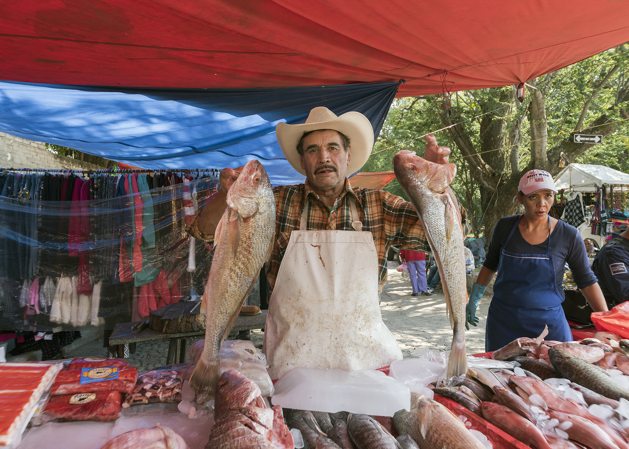 Nikon D810 sample photo. Fresh fish for sale photography