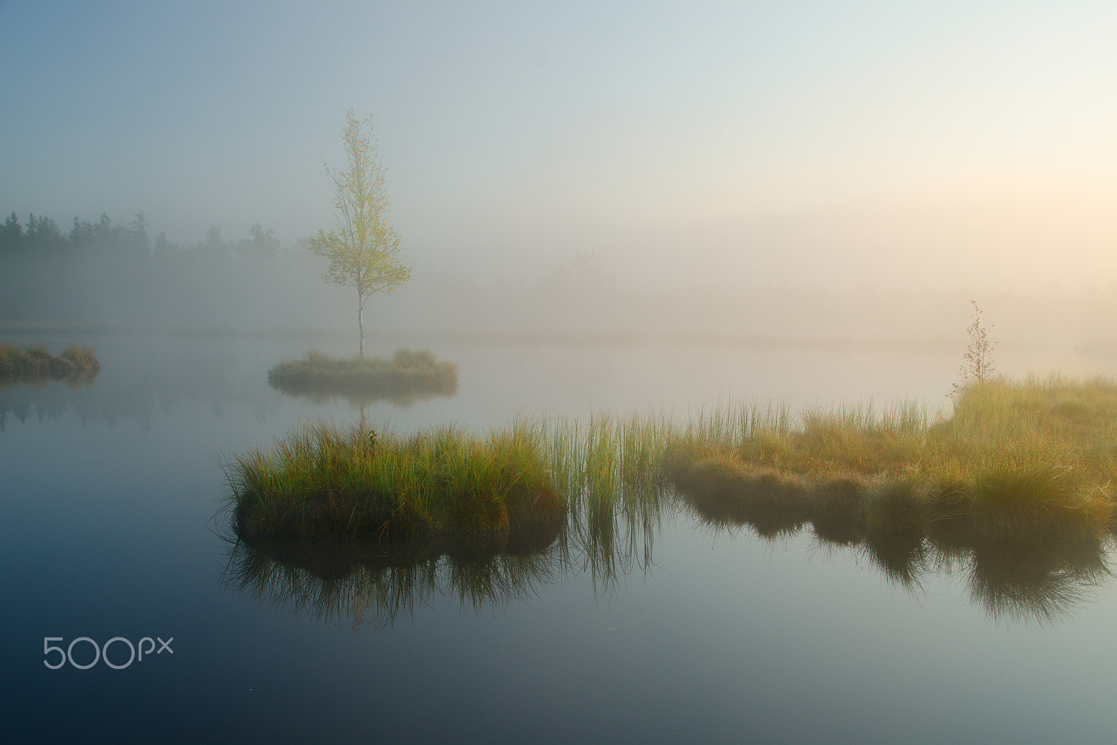 Sigma 17-70mm F2.8-4 DC Macro OS HSM sample photo. Belle in the fog photography