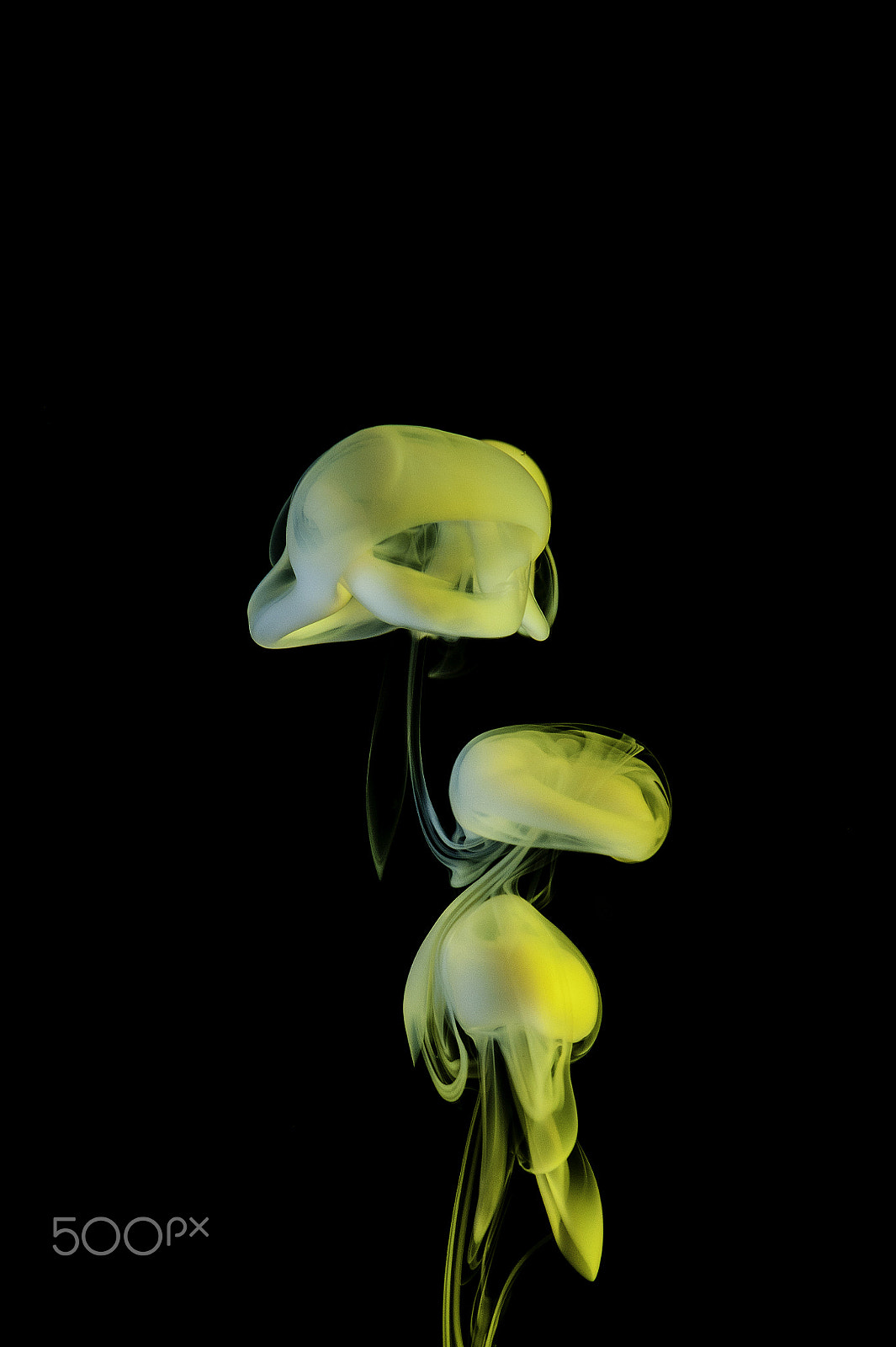 Nikon AF-S Micro-Nikkor 105mm F2.8G IF-ED VR sample photo. Glow in the dark photography