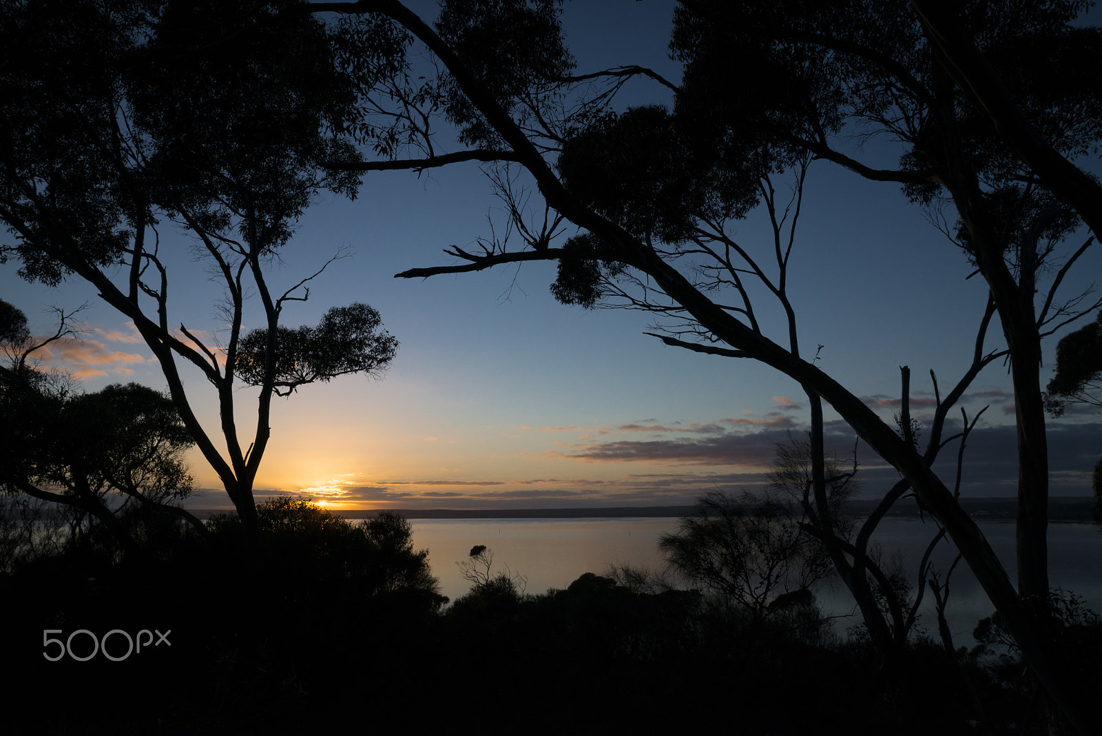 Nikon D800E sample photo. Sunrise over the pelican lagoon photography