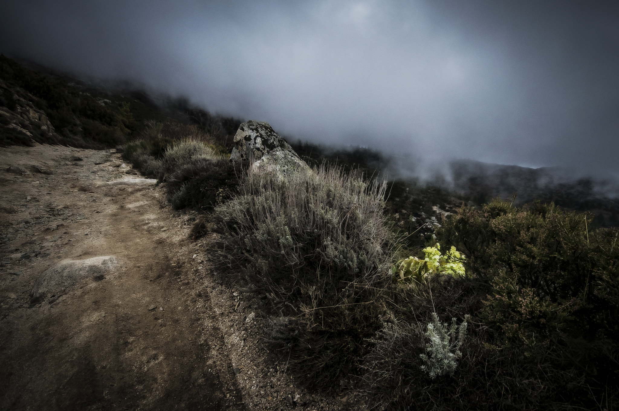 Sigma 10-20mm F4-5.6 EX DC HSM sample photo. The path photography