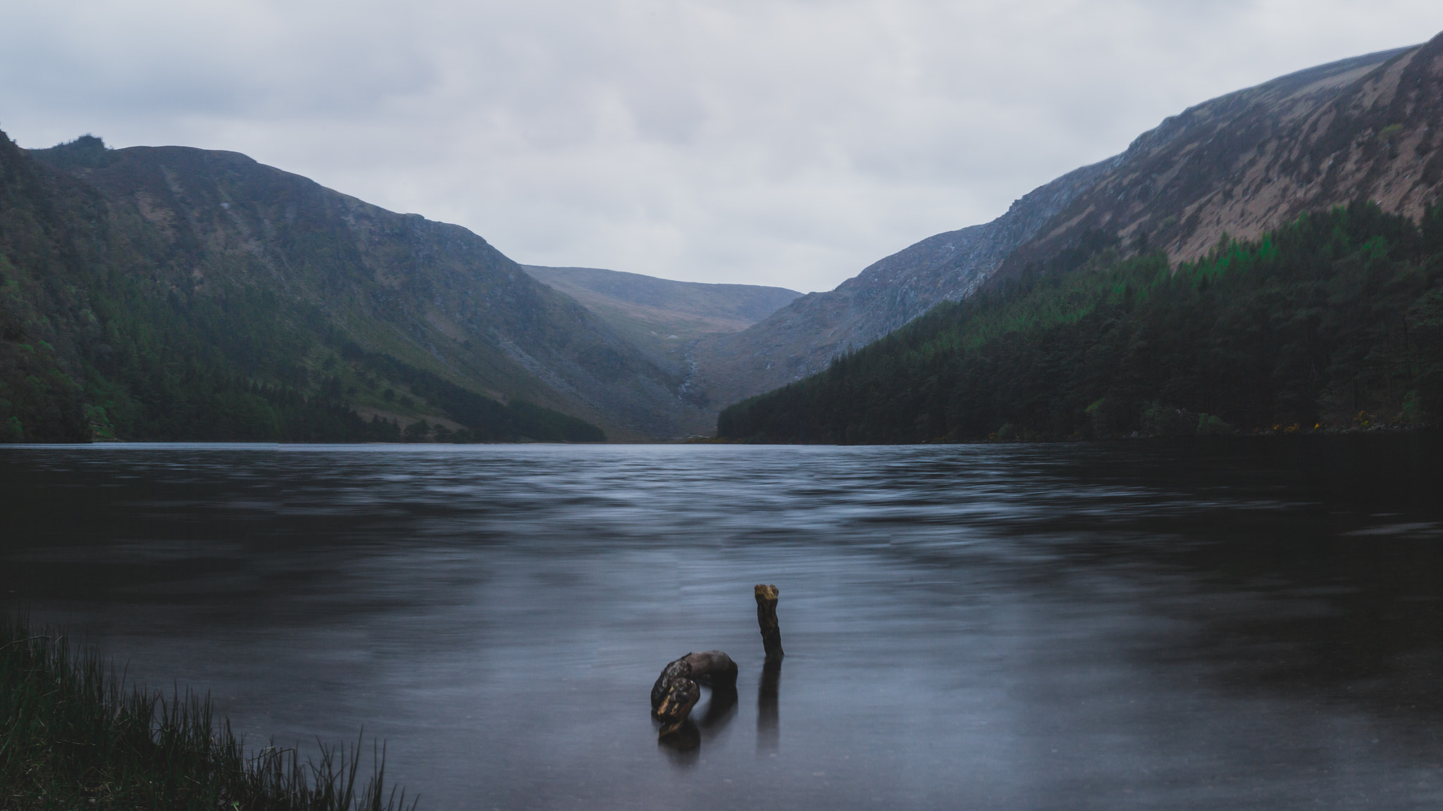Canon EOS 750D (EOS Rebel T6i / EOS Kiss X8i) sample photo. Drift wood photography