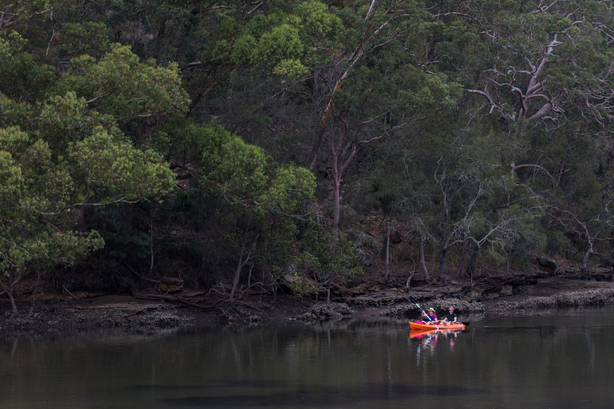 Canon EOS M5 + Canon EF 50mm F1.4 USM sample photo. Kayaking down cockle creek photography