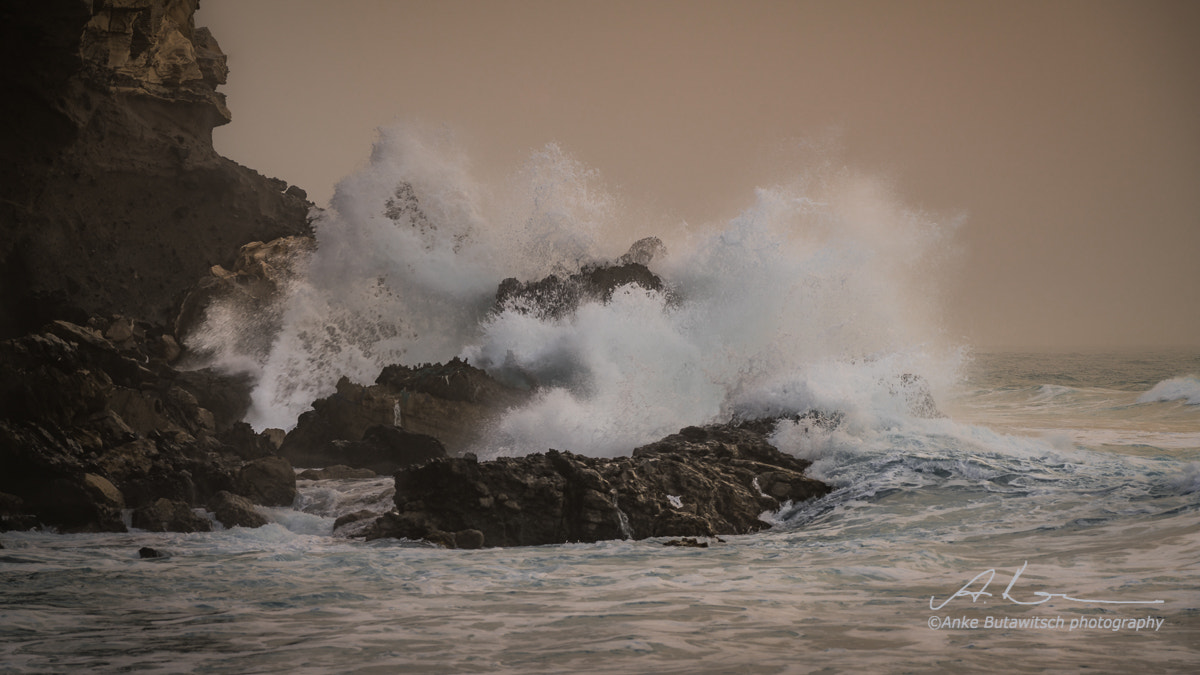 Sony a7R II + Sony FE 70-200mm F4 G OSS sample photo. Forces of nature photography