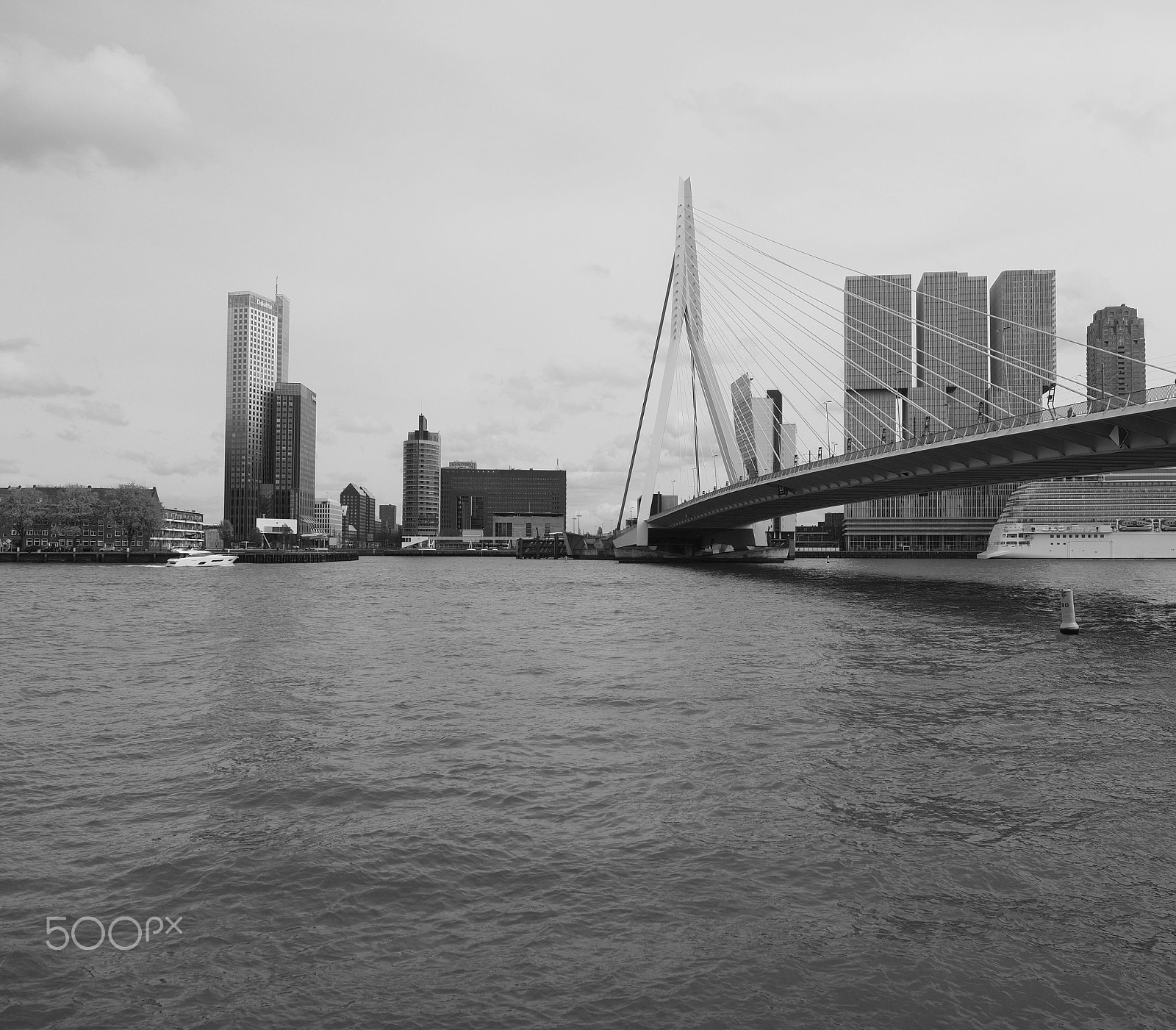 Olympus M.Zuiko Digital ED 12-40mm F2.8 Pro sample photo. Rotterdam - netherlands photography