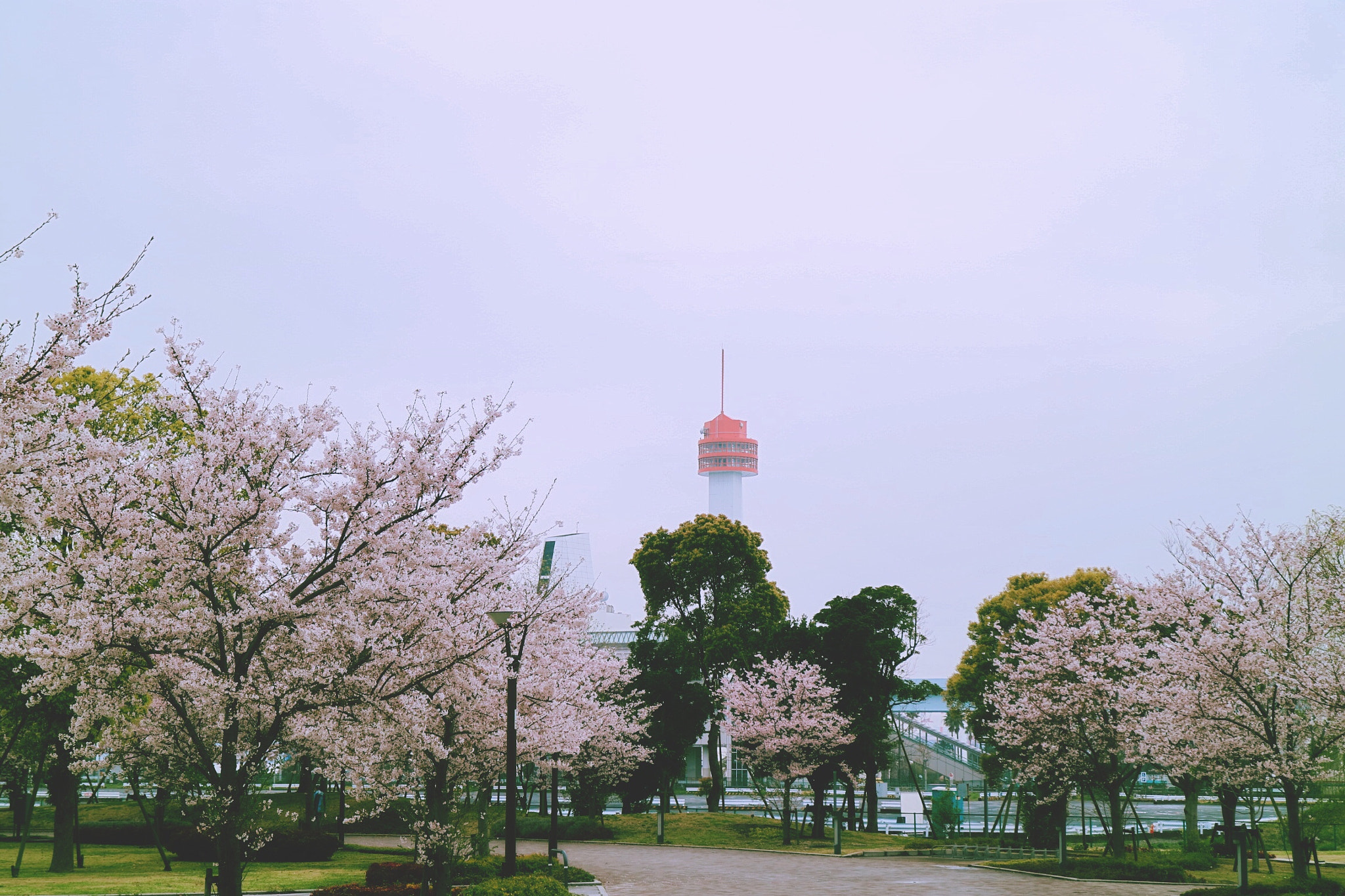 Canon EOS M3 sample photo
