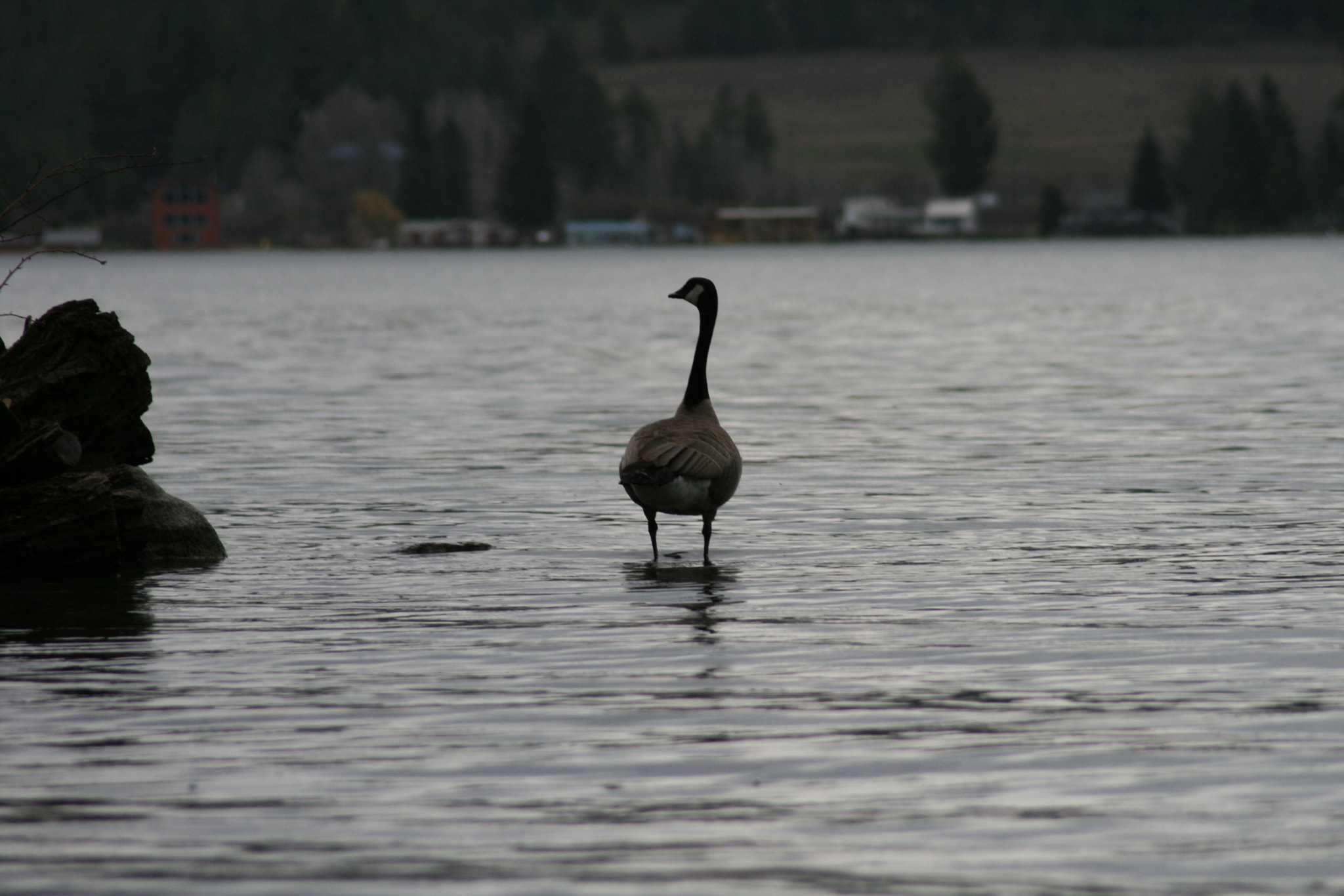 Canon EF 80-200mm F4.5-5.6 II sample photo. Out on the water ( 1-14 ) photography