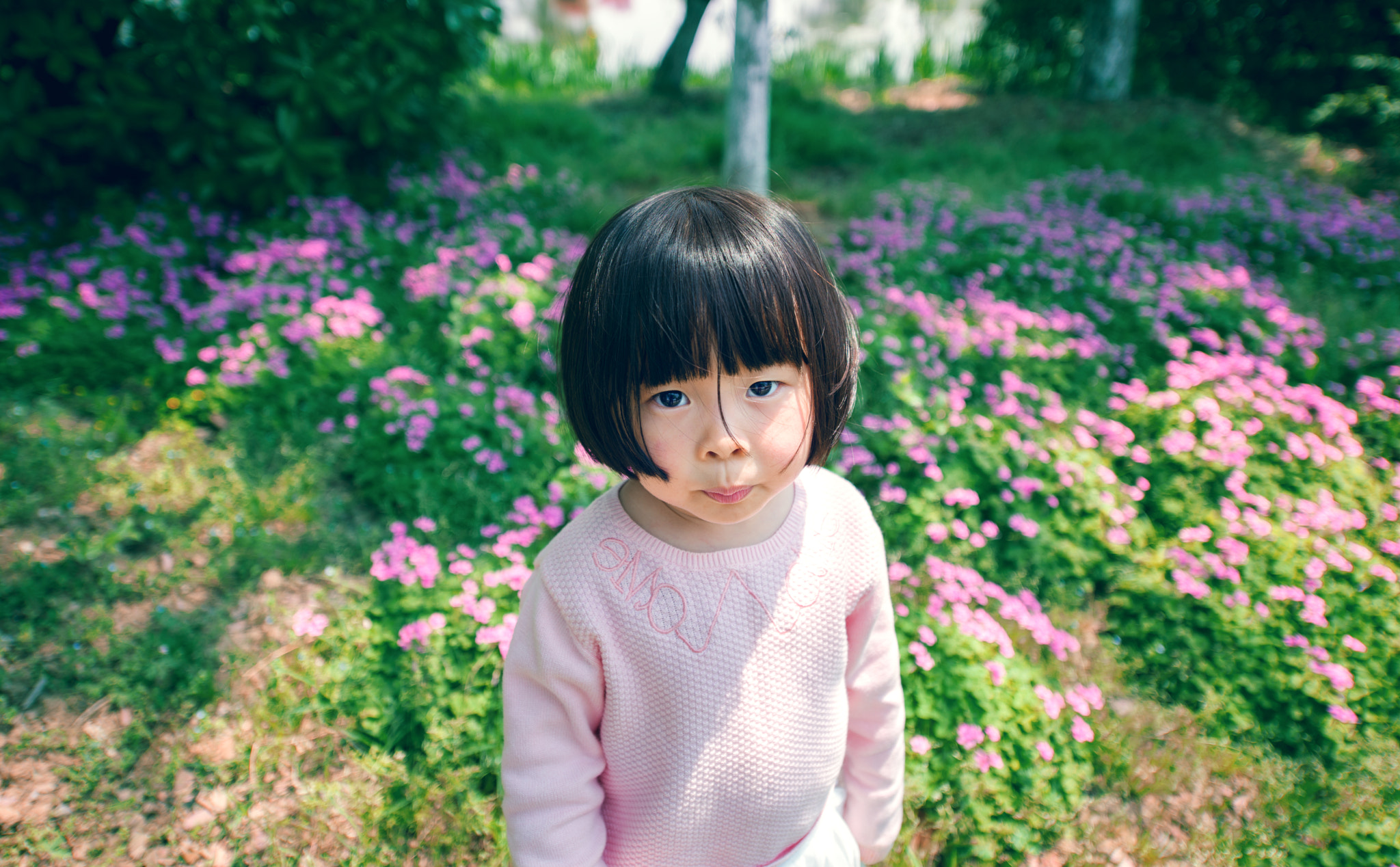 Nikon AF-S Nikkor 14-24mm F2.8G ED sample photo. Hello beauty photography