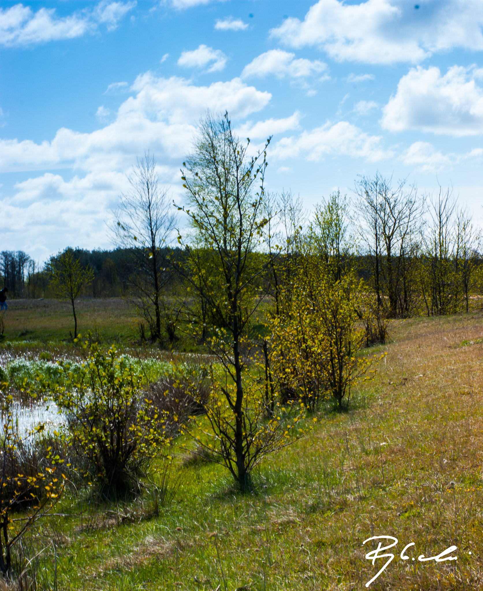 Sony Alpha DSLR-A350 sample photo. Spring photography