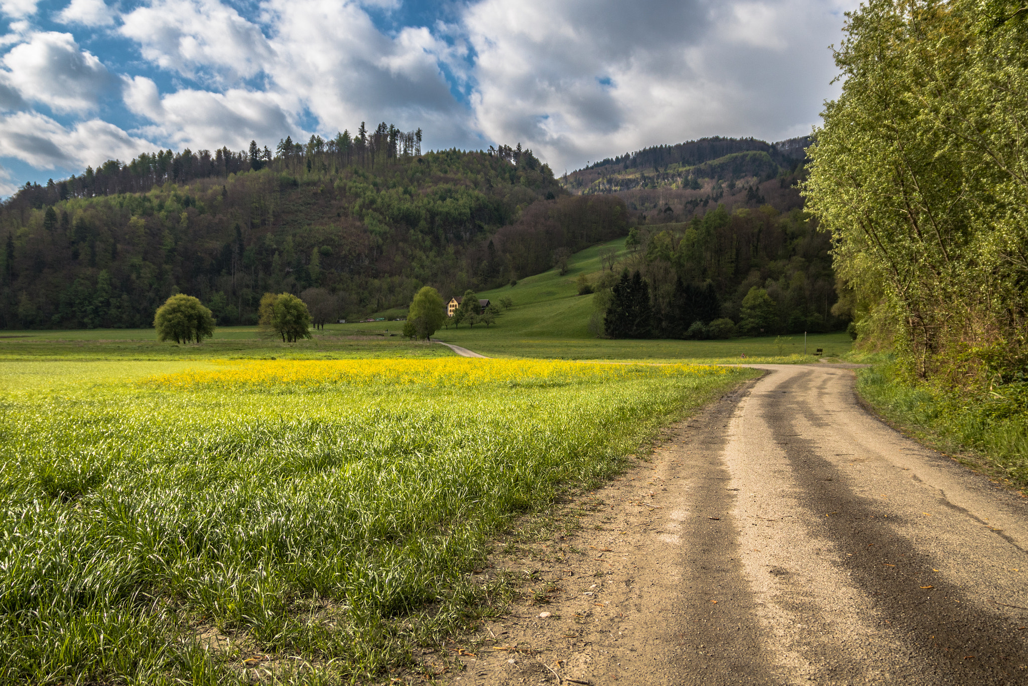 Sigma 17-70mm F2.8-4 DC Macro OS HSM sample photo. Meadow photography
