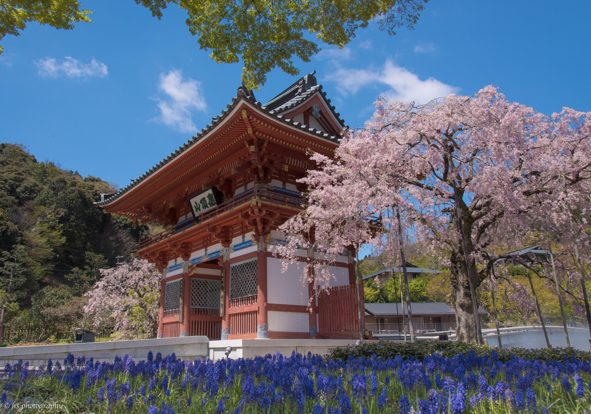 Nikon AF-S Nikkor 24-120mm F4G ED VR sample photo. Spring in japan photography