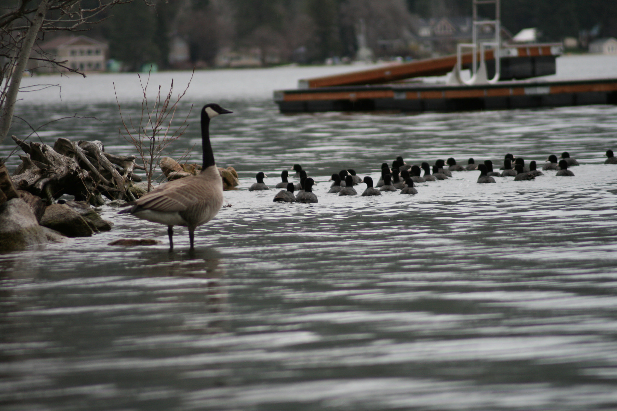 Canon EF 80-200mm F4.5-5.6 II sample photo. Out on the water ( 4-14 ) photography