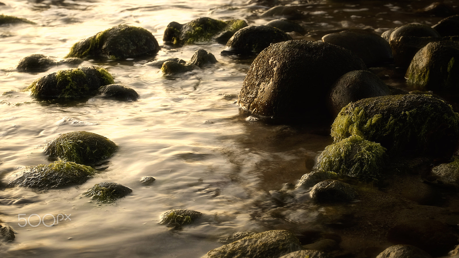 Fujifilm X-T1 + Fujifilm XF 16-55mm F2.8 R LM WR sample photo. Mossy rocks photography