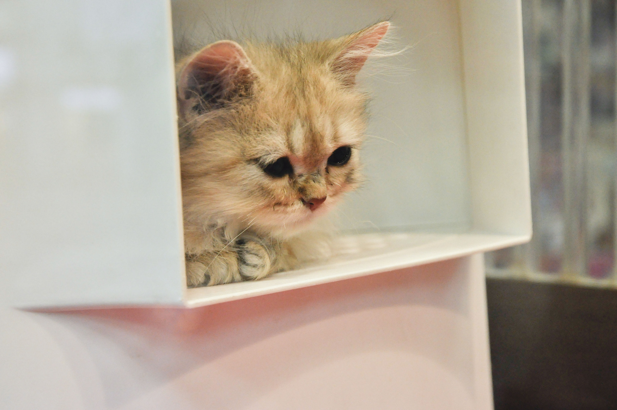 Nikon D90 sample photo