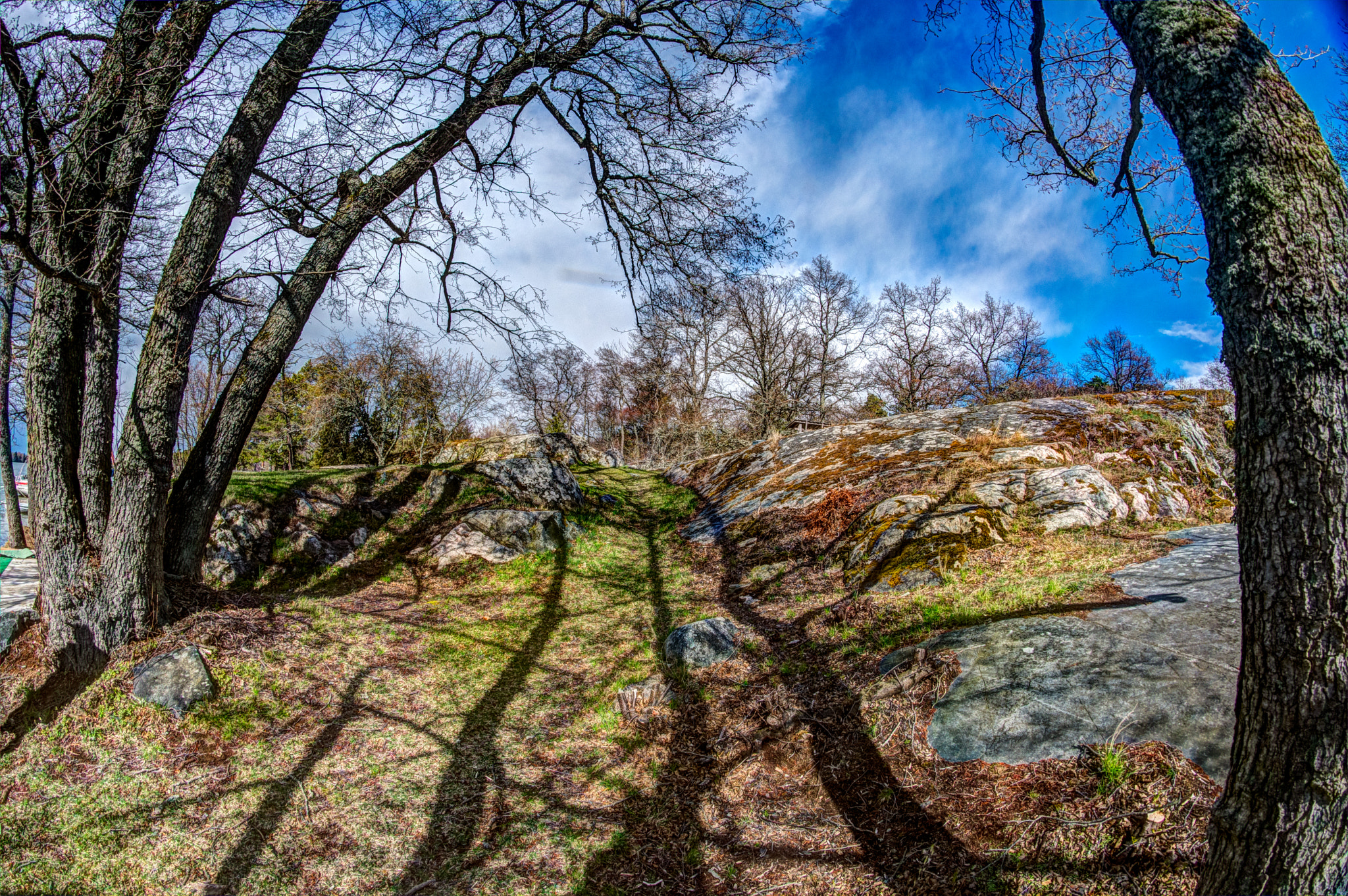 Nikon D500 + Samyang 8mm F3.5 Aspherical IF MC Fisheye sample photo. Spring photography