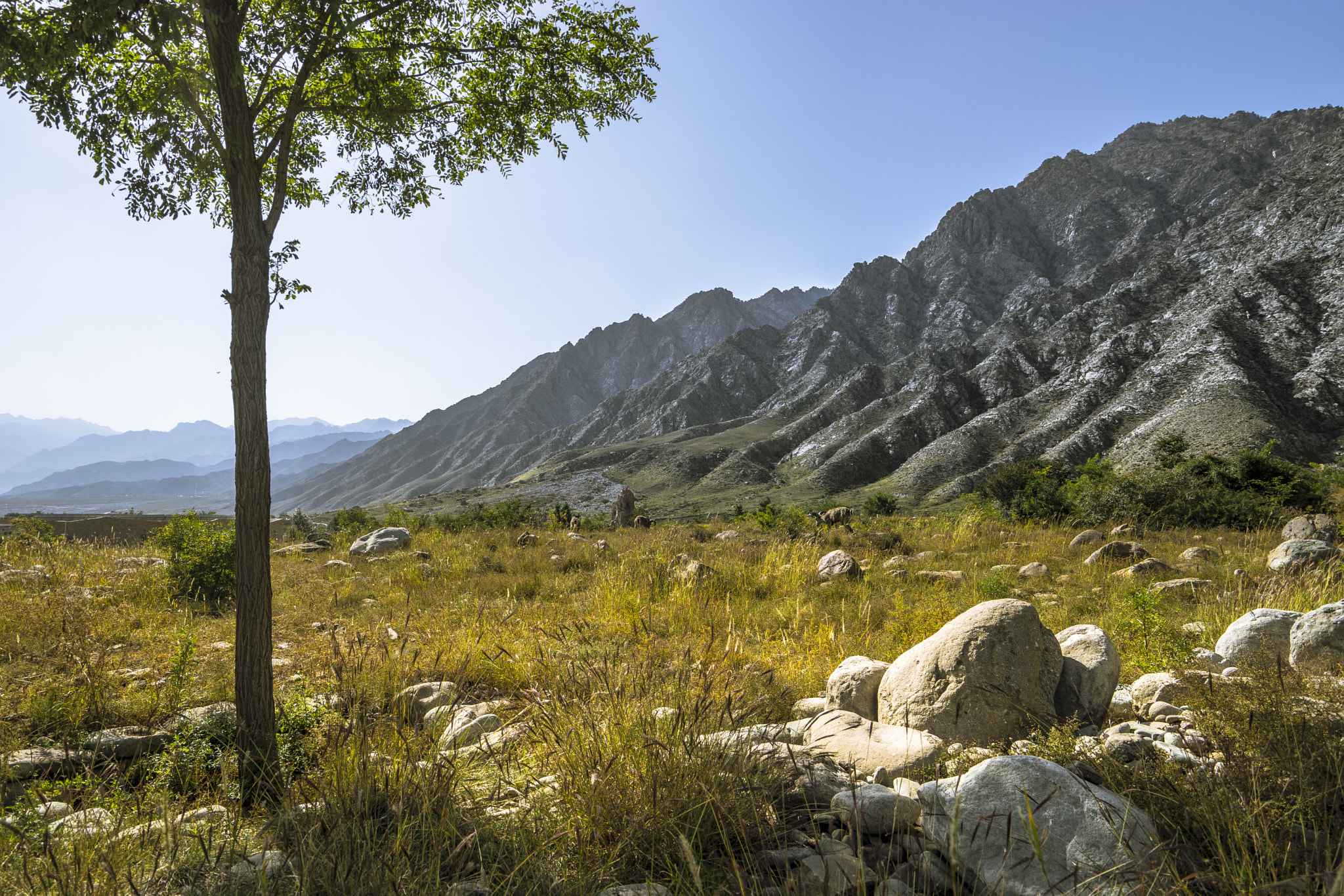 Sony a7 + Sony Vario-Tessar T* FE 16-35mm F4 ZA OSS sample photo. West of china photography