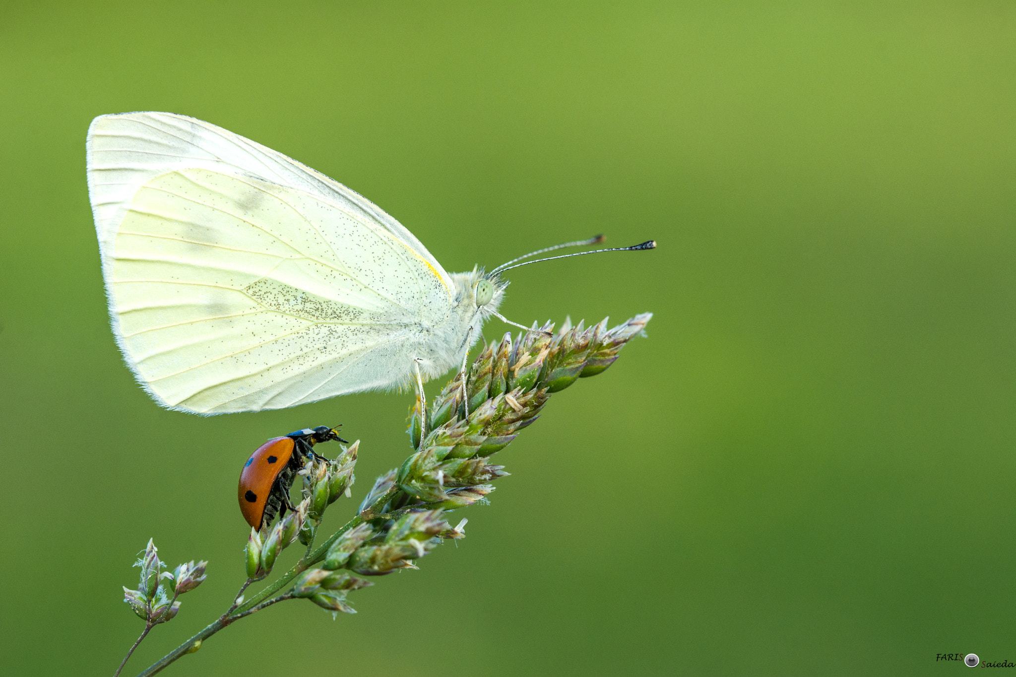 Sigma 105mm F2.8 EX DG OS HSM sample photo
