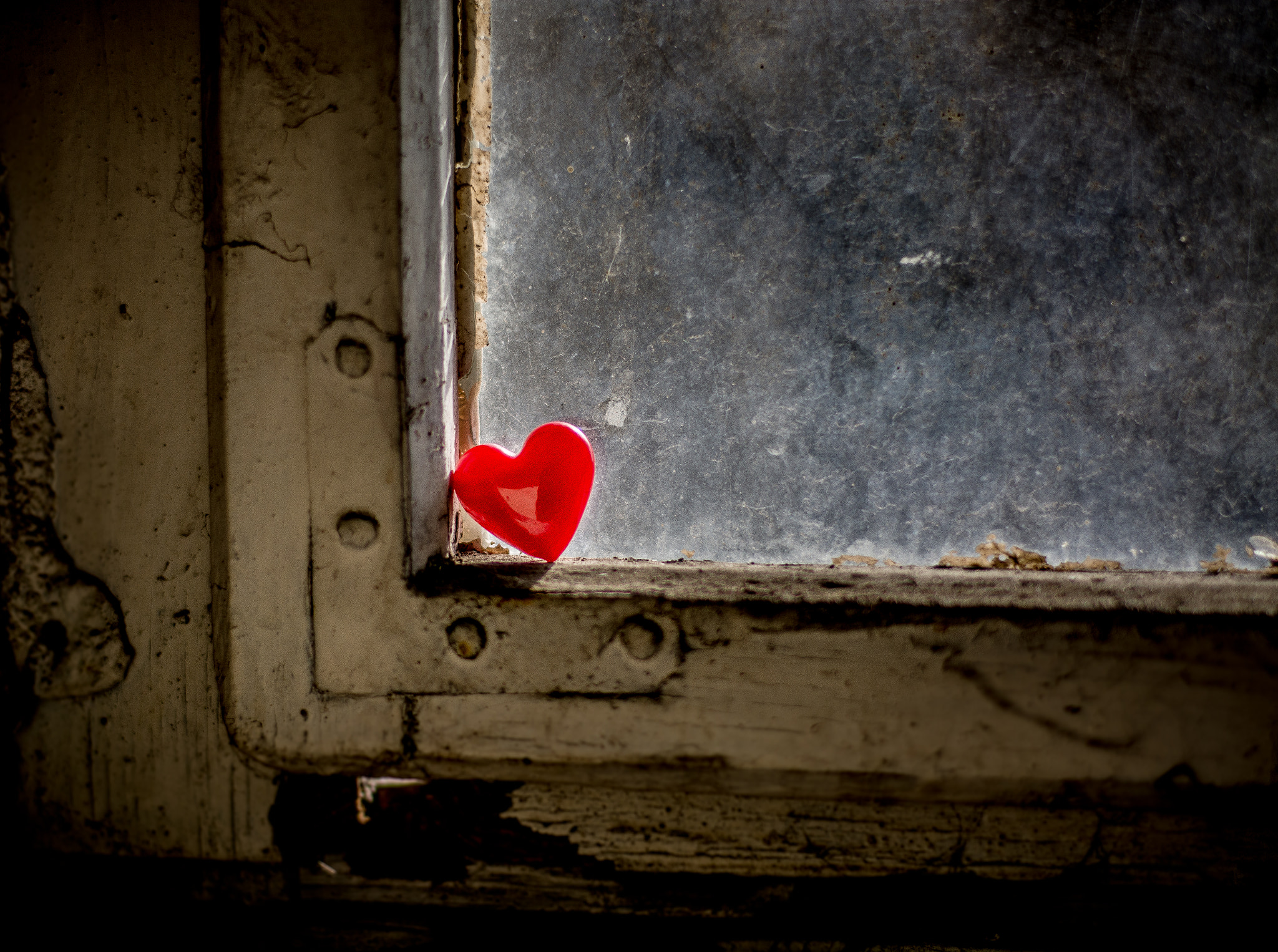 Nikon D7100 + Nikon AF-S Nikkor 50mm F1.8G sample photo. Forgotten love photography
