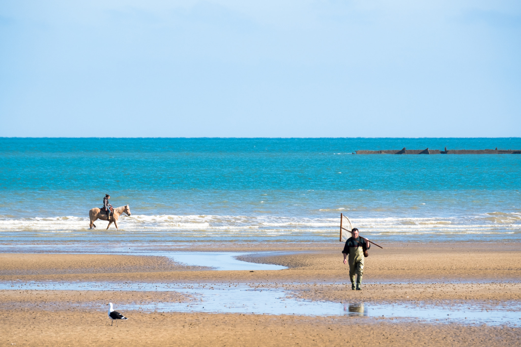 Fujifilm X-T2 + Fujifilm XF 100-400mm F4.5-5.6 R LM OIS WR sample photo. Near arromanches, normandy photography