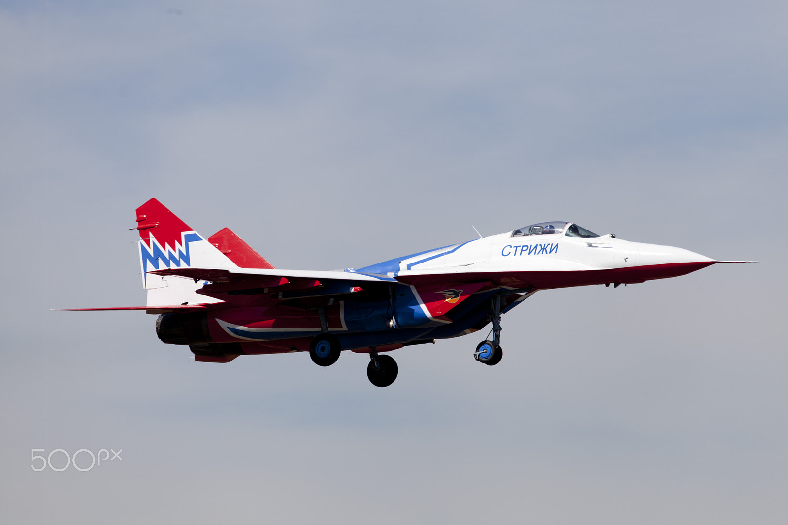 Canon EOS 5D Mark II sample photo. Aircraft mig-29, swifts photography