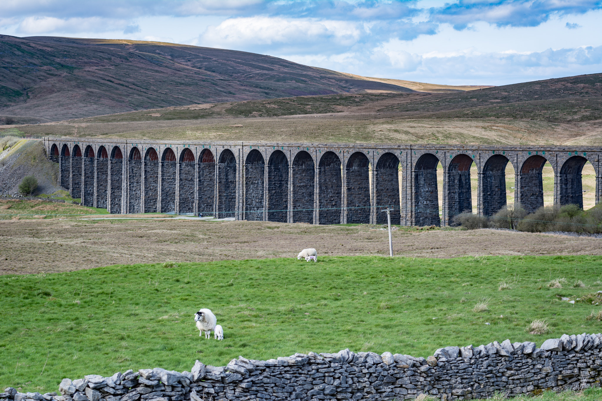 Nikon D7100 + Sigma 70-200mm F2.8 EX DG OS HSM sample photo. Ribble head photography