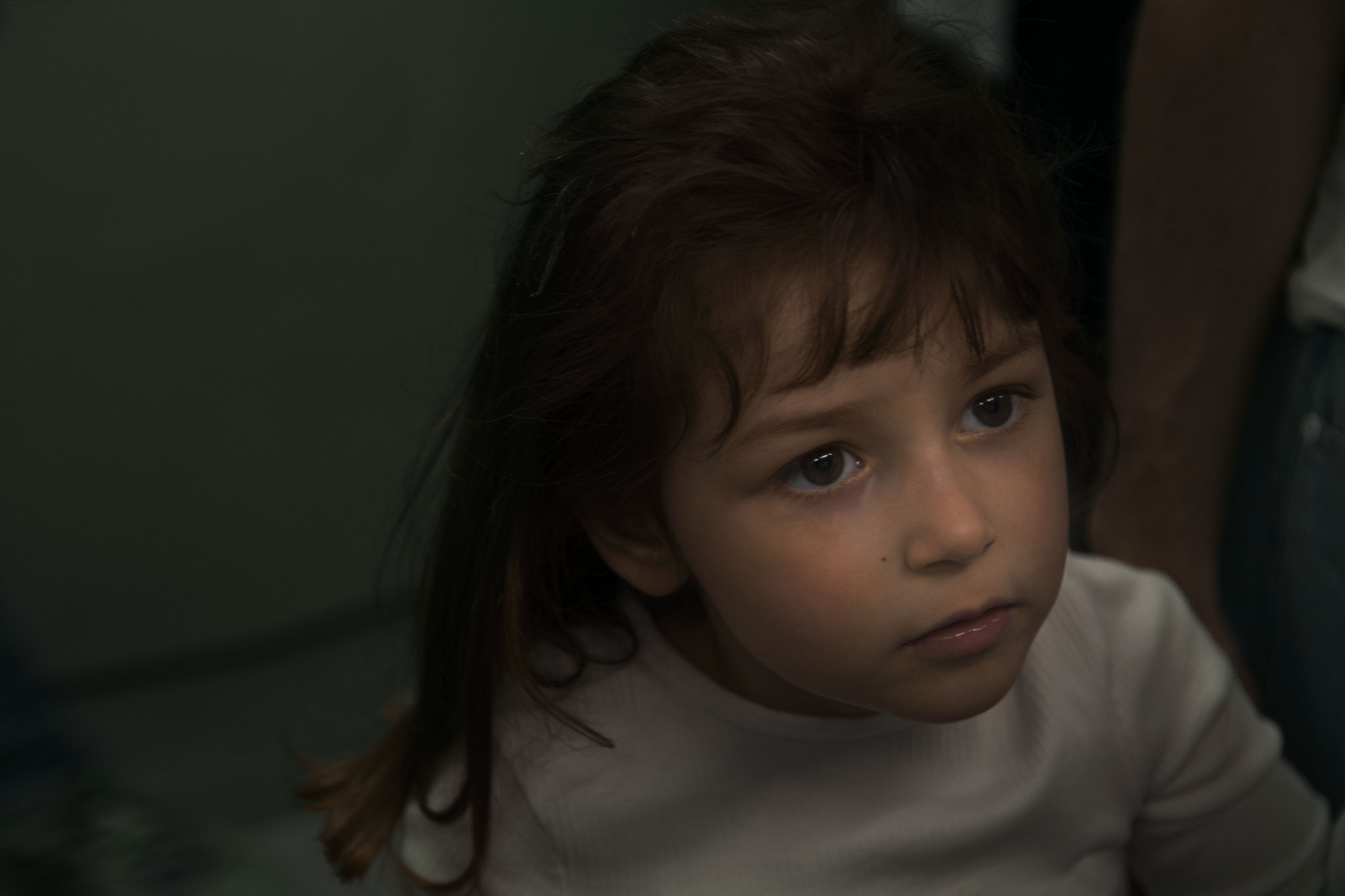 Sigma 17-50mm F2.8 EX DC OS HSM sample photo. Lassock photography