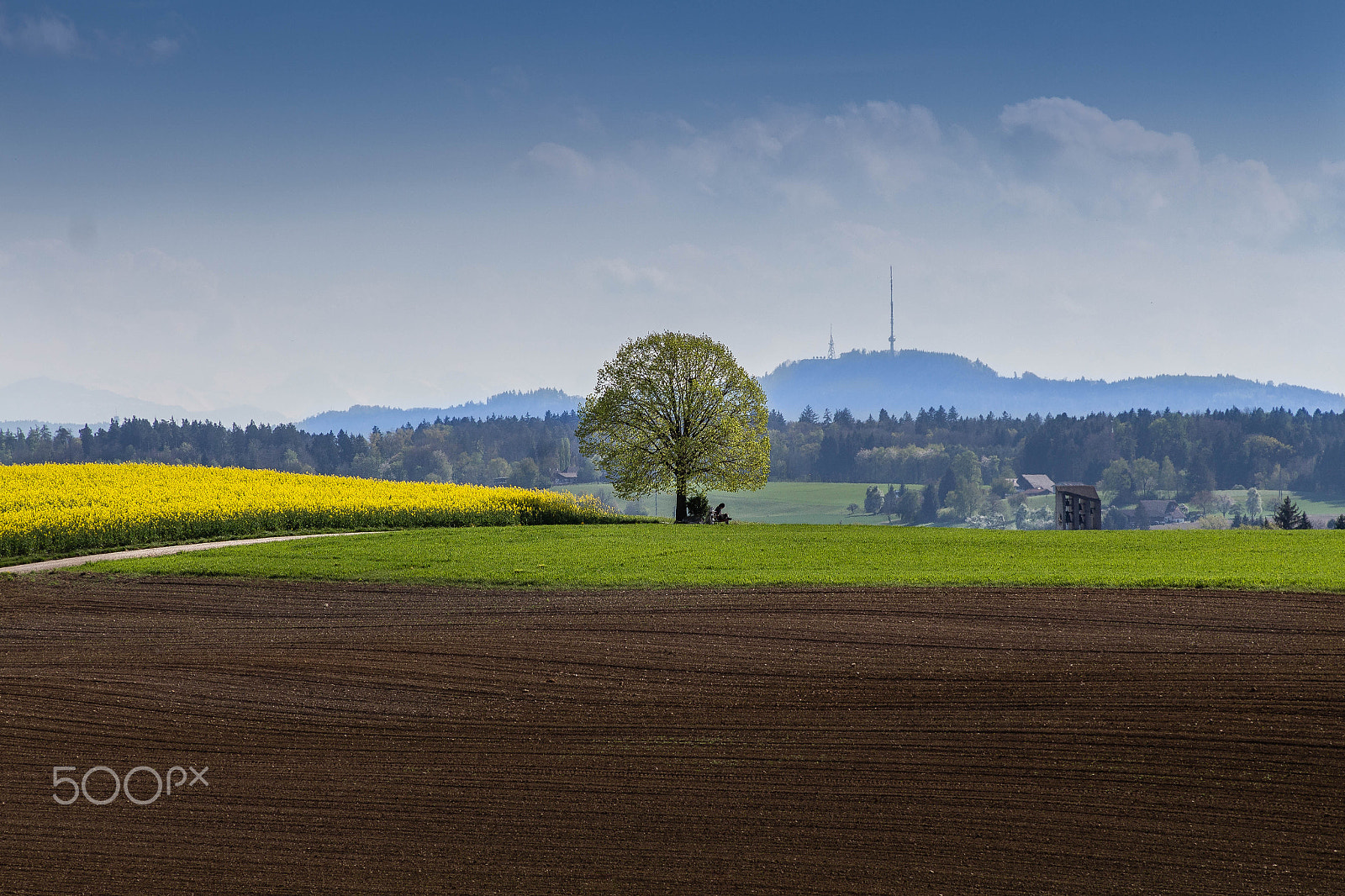 Canon EF 28-135mm F3.5-5.6 IS USM sample photo. Uetliberg photography
