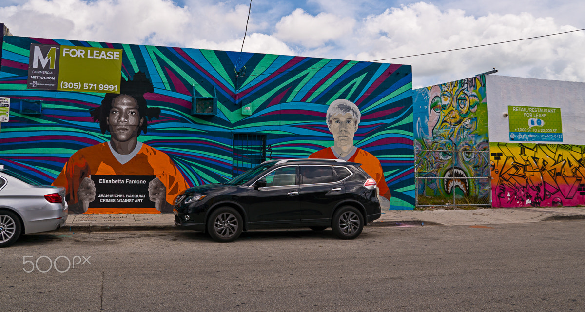 Sony a6500 sample photo. A day at wynwood walls photography