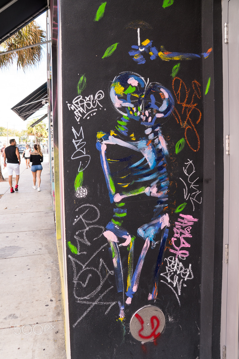 Sony a6500 sample photo. A day at wynwood walls photography