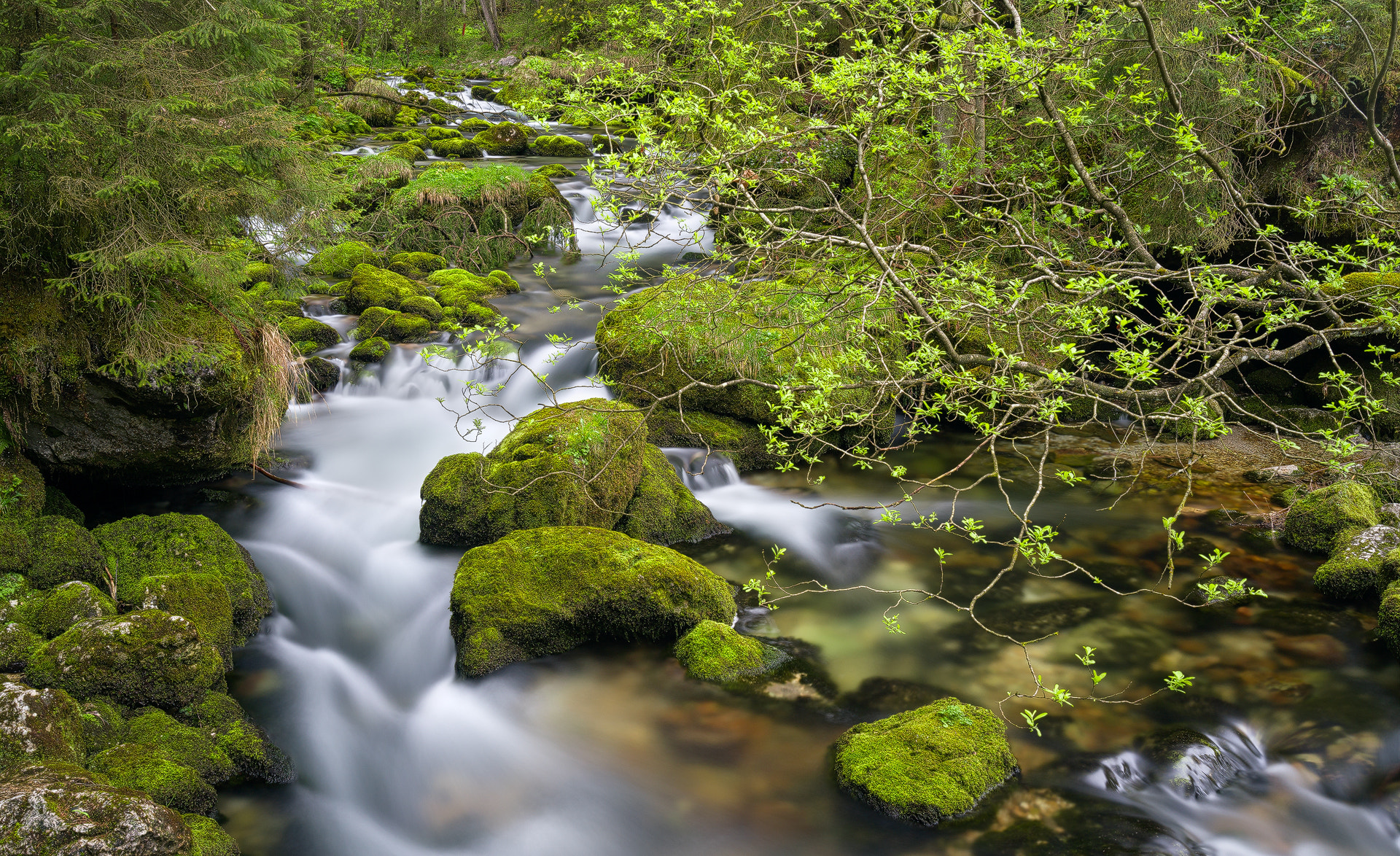 Sony a7R II + Sony Vario-Tessar T* FE 16-35mm F4 ZA OSS sample photo. Am schwarzbach photography