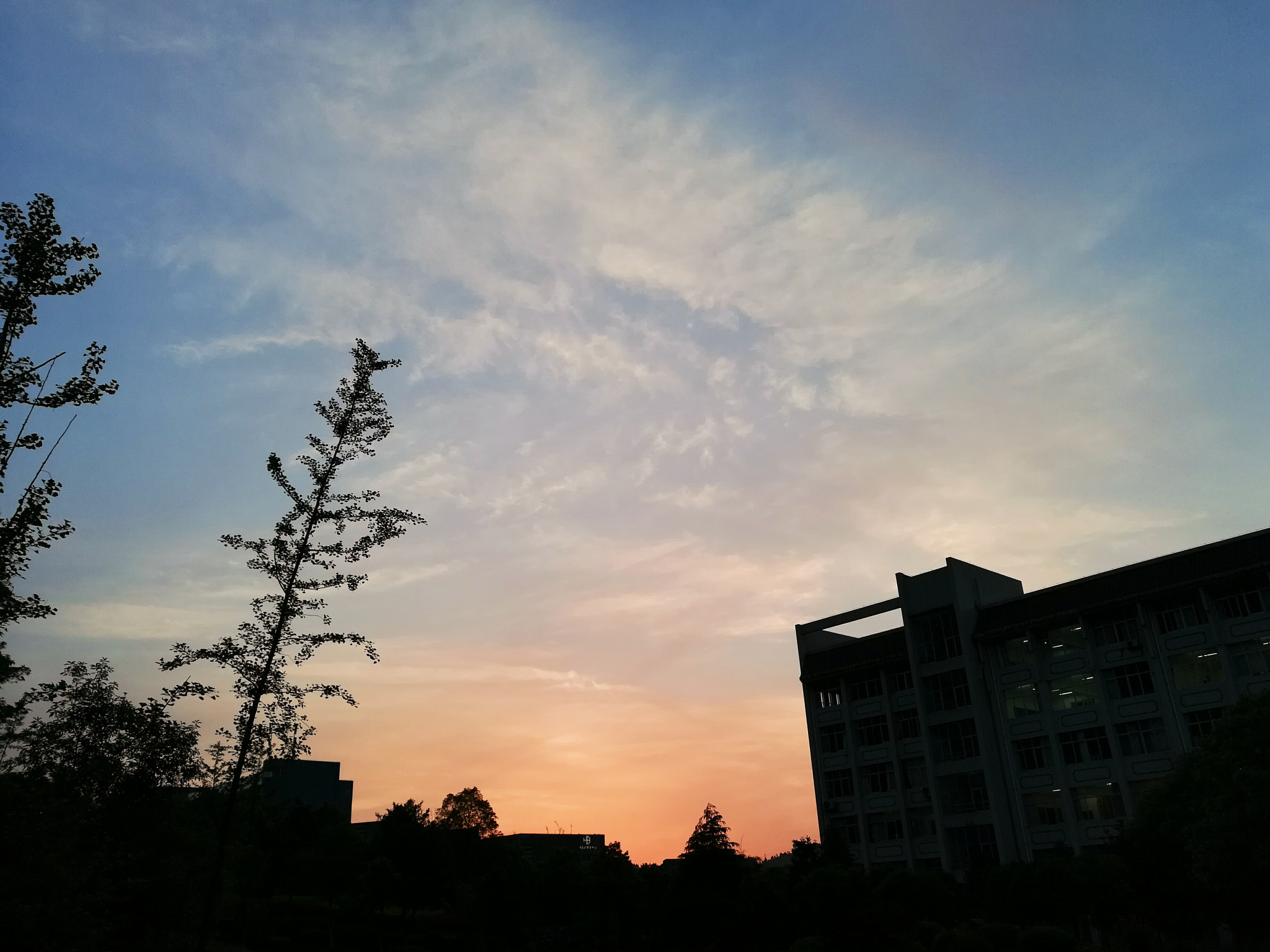 HUAWEI c??Eu?s 6X sample photo