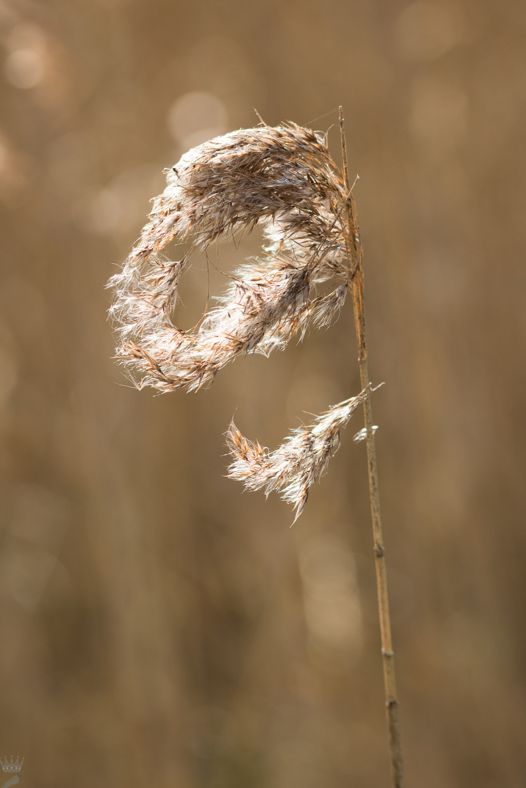 Canon EOS 750D (EOS Rebel T6i / EOS Kiss X8i) + Sigma 105mm F2.8 EX DG OS HSM sample photo. One an a million photography