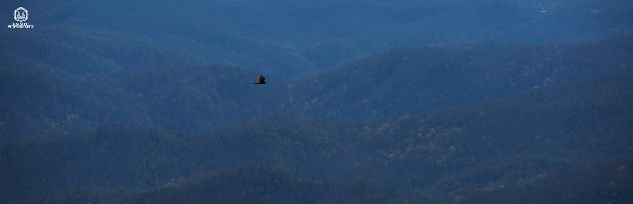 Nikon AF-S Nikkor 70-200mm F2.8G ED VR II sample photo. The queen of the mountains photography