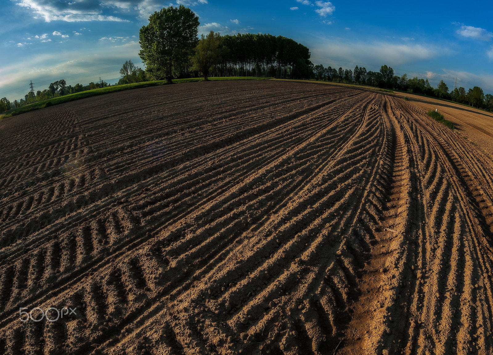 Nikon AF Fisheye-Nikkor 16mm F2.8D sample photo. Terra photography