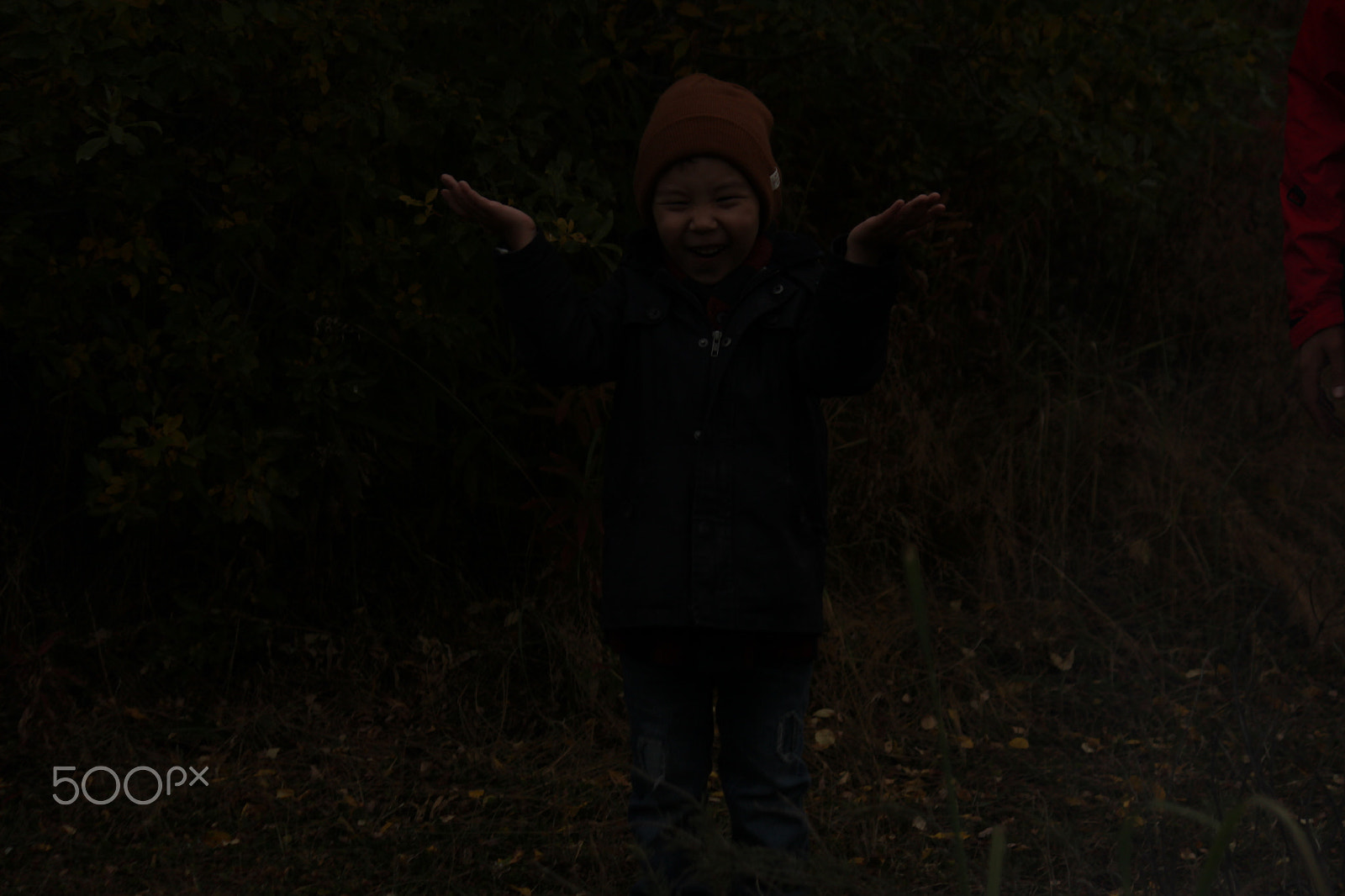 Canon EF-S 55-250mm F4-5.6 IS sample photo. Img photography