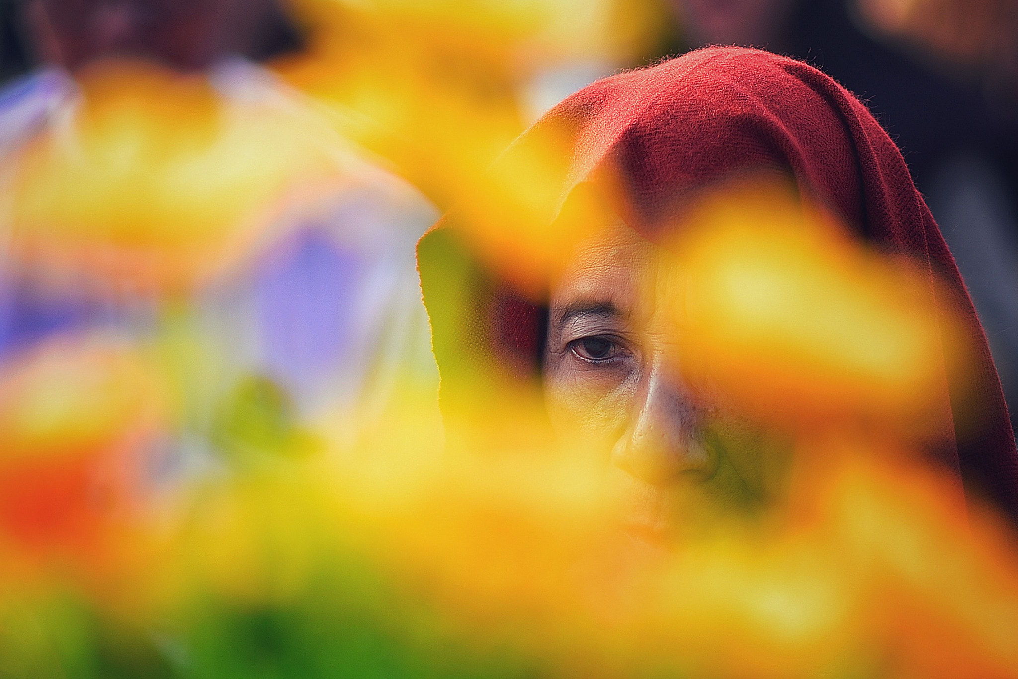 Nikon AF-S Nikkor 85mm F1.8G sample photo. Focused photography