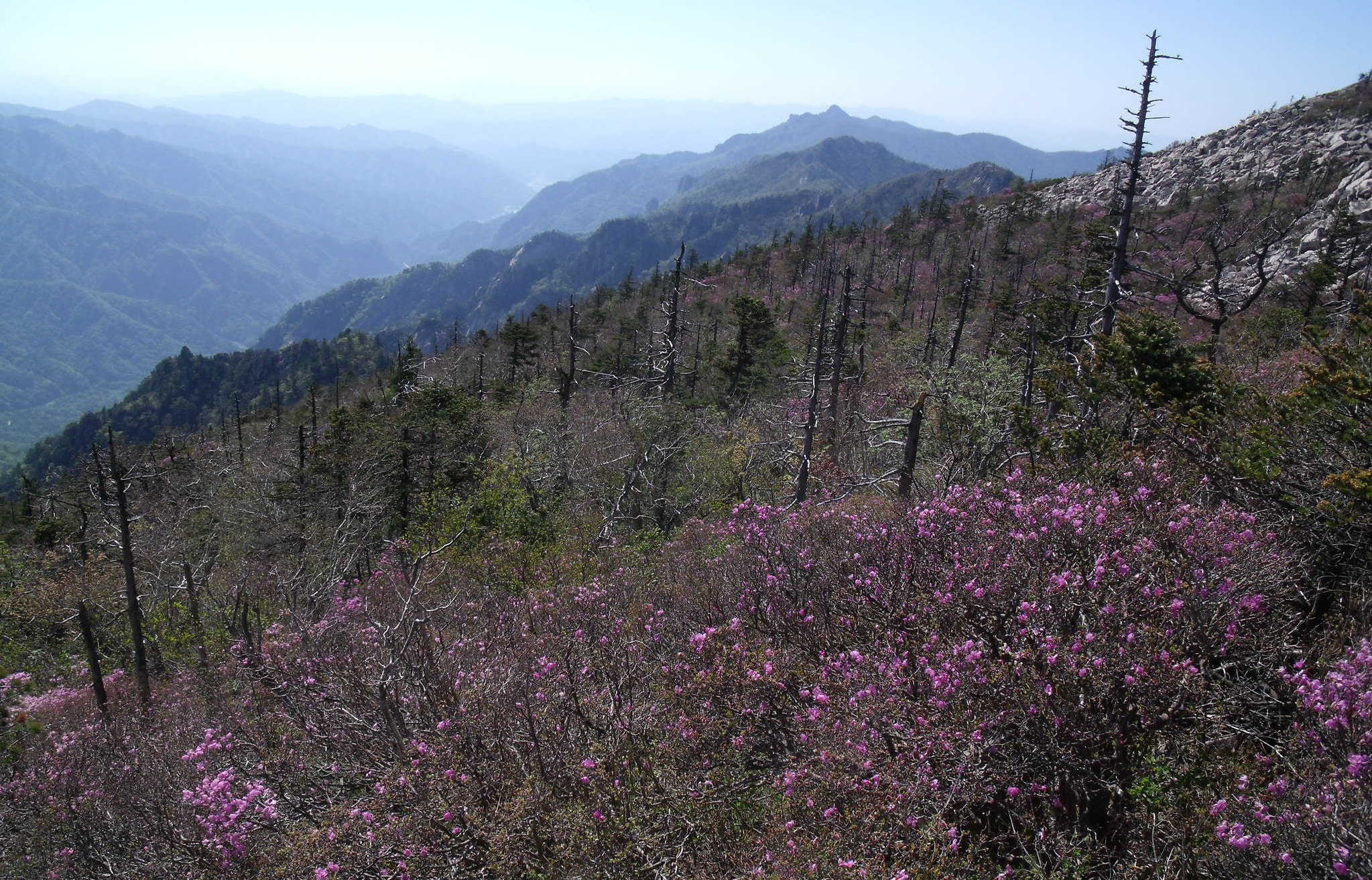 Fujifilm FinePix J110W sample photo. Northwestern ridge in may photography