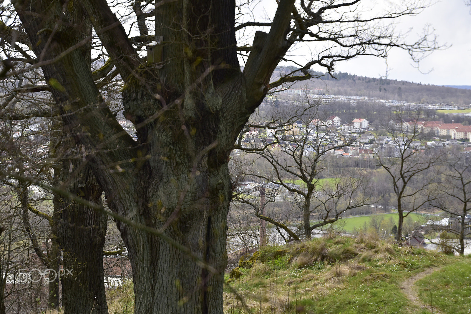 Nikon D5500 sample photo. Husqvarna photography