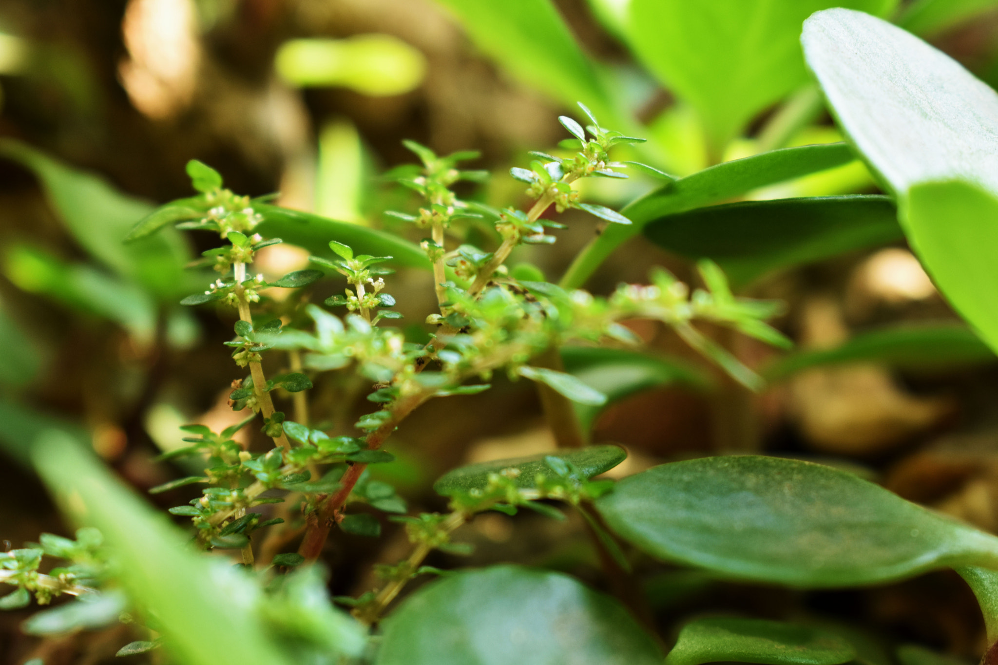Nikon D3400 sample photo. Dsc photography