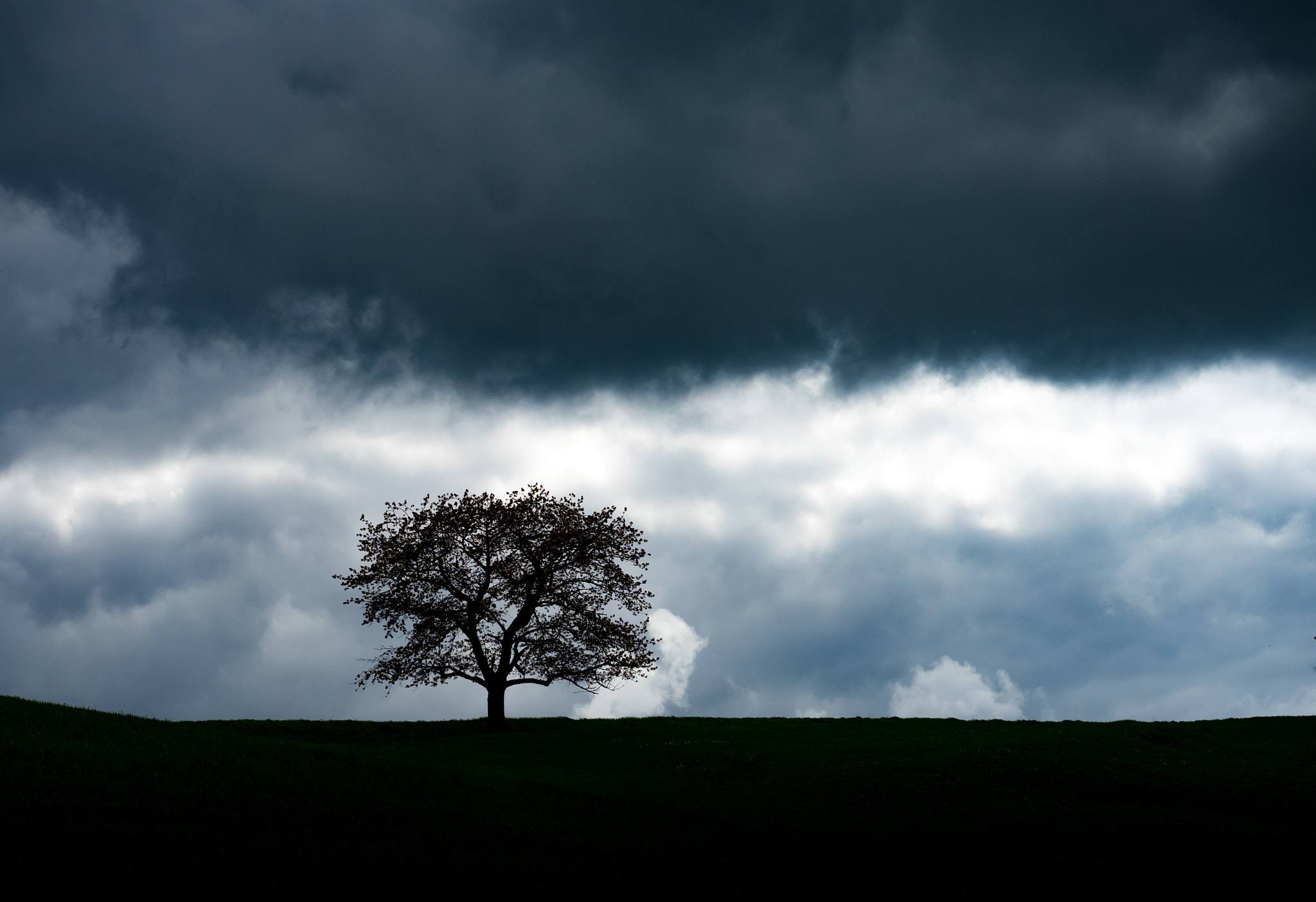 Olympus OM-D E-M5 II + Olympus M.Zuiko Digital ED 12-40mm F2.8 Pro sample photo. Stormy sunday  photography