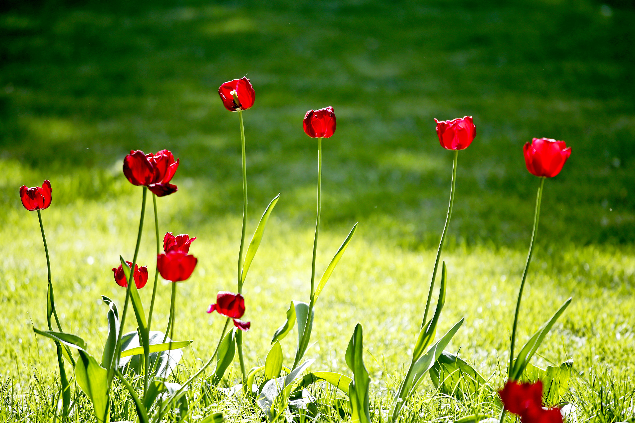 Canon EOS 6D + Canon EF 70-200mm F4L IS USM sample photo