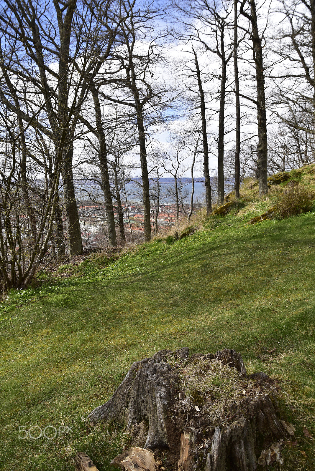 Nikon D5500 sample photo. Husqvarna photography