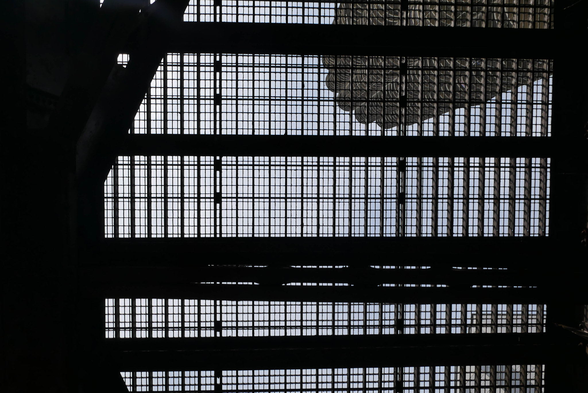 Panasonic Lumix DMC-G85 (Lumix DMC-G80) sample photo. Looking up through the bridge photography
